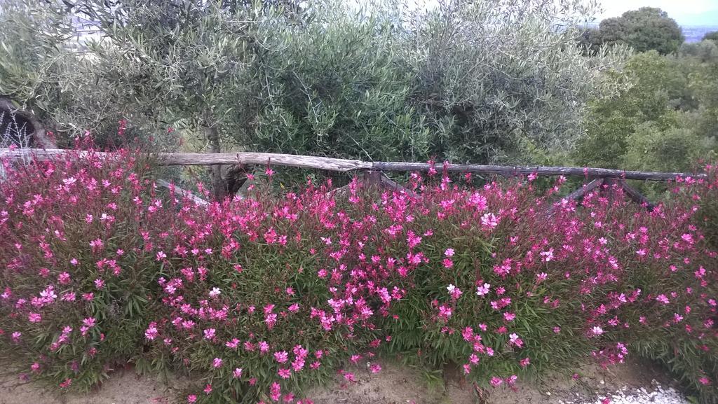 Piccolo Relais Galletto Di Marzo Spa E Relax Solo Per Due Paciano Exterior foto