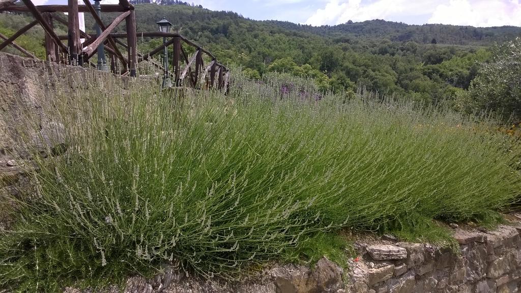 Piccolo Relais Galletto Di Marzo Spa E Relax Solo Per Due Paciano Exterior foto