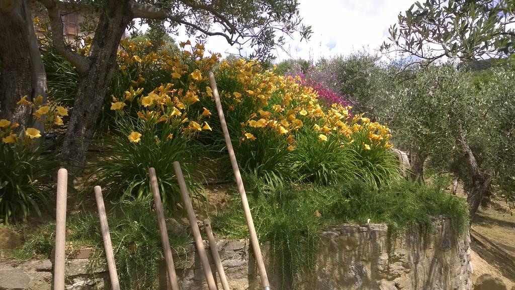 Piccolo Relais Galletto Di Marzo Spa E Relax Solo Per Due Paciano Exterior foto